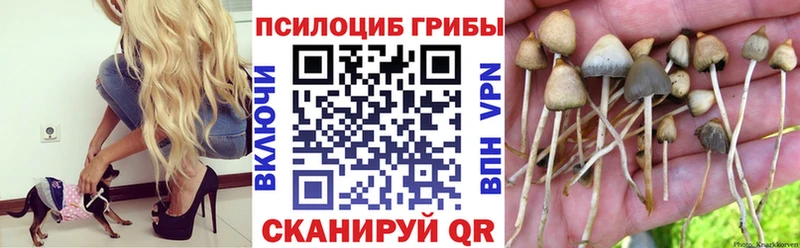 Псилоцибиновые грибы GOLDEN TEACHER  Вольск 