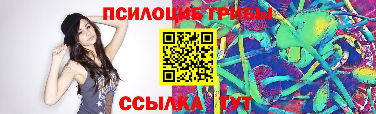 Галлюциногенные грибы GOLDEN TEACHER  купить  цена  Вольск 