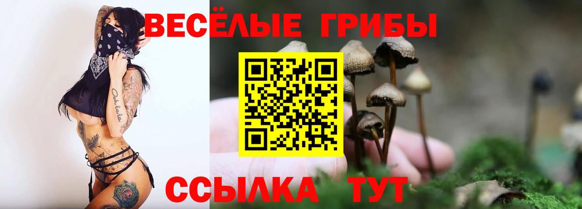 Вольск  Галлюциногенные грибы Psilocybe  Вход с VPN  наркота  Псилоцибиновые грибы Cubensis 