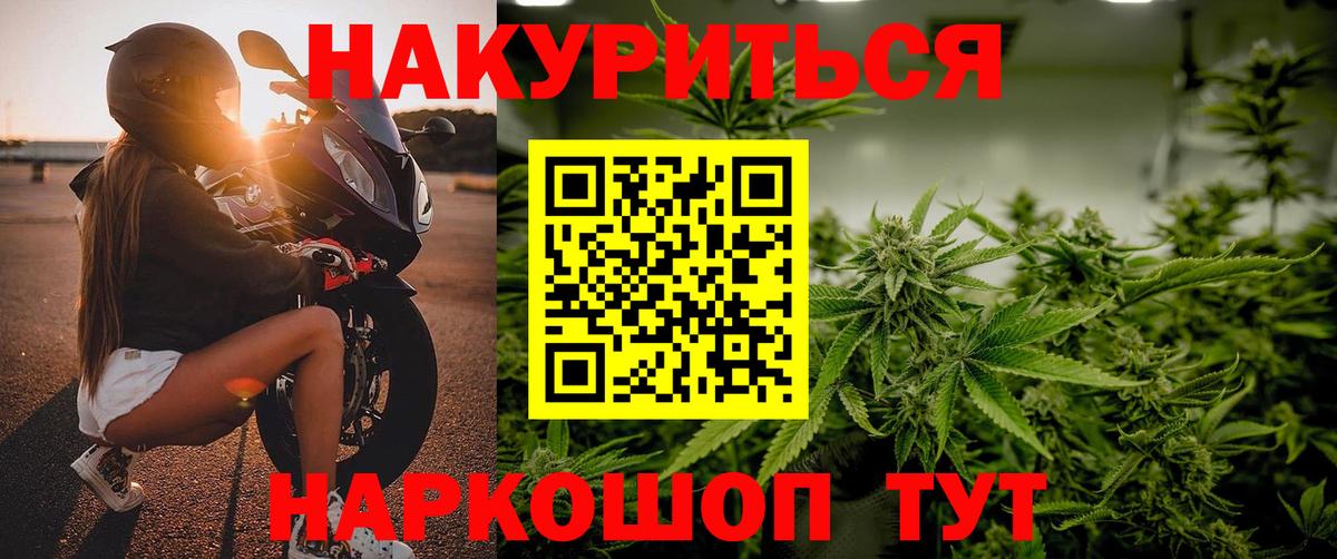 Канабис гибрид Вольск
